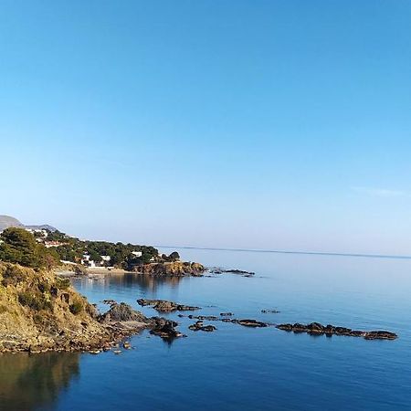 Апартаменти Ca La Nuri Pis 4 Vistas Al Mar Лянса Екстер'єр фото